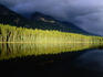 Pine forest glow in the sun's last rays at the edge of a tranquil Honeymoon Lake near Jasper, Alberta.
