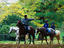 Image_8991-9