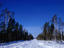 Image_9036-6