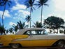 A classic car parked in front of palm trees - Miami, Florida