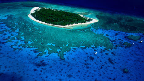 Lady Musgrave Island - Great Barrier Reef, Queensland