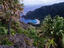 Image_919-9