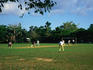Playing cricket in Long Bay beach park.