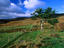 The Cambrian Mountains, North Wales