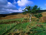 The Cambrian Mountains in the Snowdonia National Park.