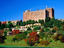 Image_9399-6