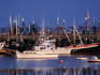Boats in harbour.