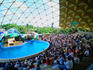 Spectators watching the show pool inside the Miami Seaquarium - Miami, Florida
