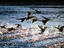 Image_94-99