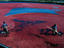Cranberry harvest, Cape Cod