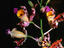 Image_9410-6