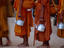 Saffron robed monks, Angkor, Cambodia