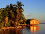 Early evening sunlight over the beach huts at Roatan's Cocoview Resort.