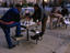Chess, Washington, DC