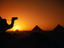 Image_9434-19