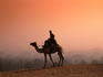 A tourist police riding a camel above Cairo.
