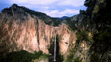 Image_9474-2