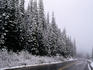 Snowstorm on road in Colorado Rockies.