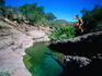 Cooling waters of a watering hole on Mission San Javier Road near Loreto.