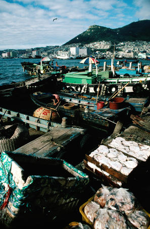 Wharfside view of the waterfront fish market at Busan (Pusan) where ships unload their catch and haggle the price to the nearby fish sellers.