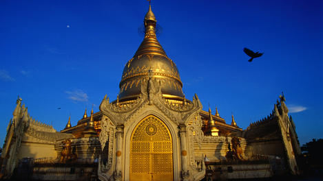 Image_9916-1