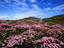 Image_9927-2