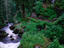 Highest waterfall, Germany, Black Forest