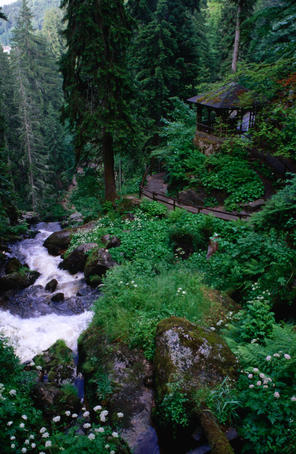 Highest waterfall in Germany, Black Forest.