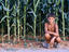 A young boy squats beside corn fields.