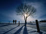 Couple hiking on a path with winter sun.