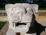 One of the Hittite styled stone lions flanking the avenue leading to Anit Kanir.