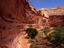 Image_9991-12