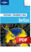 Diving & Snorkeling Belize - Ambergris Caye Dive Sites (Chapter)