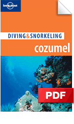 Cozumel: Diving & Snorkeling Guide
