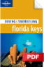 Diving & Snorkeling Florida Keys - Plantation & Upper Matecumbe Keys Dive Sites (Chapter)