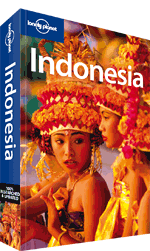 indonesia travel guide book