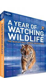 A Year of Wildlife Watching