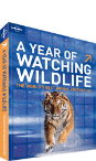 A Year of Watching Wildlife
