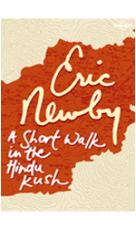 A Short Walk in the Hindu Kush