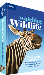 Watching Wildlife Southern Africa