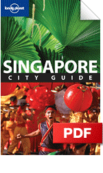Singapore - Shopping (Chapter)