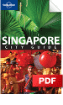 Singapore - Shopping (Chapter)