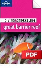 Diving Great Barrier Reef - Townsville & Magnetic Island (Chapter)
