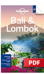 Bali & Lombok - Ubud & Around (Chapter)