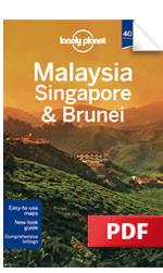 Malaysia, Singapore & Brunei - Plan your trip (Chapter)