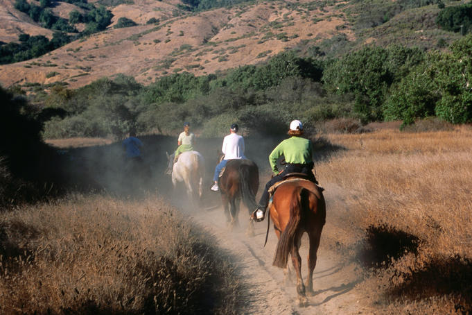 Big Sur image gallery - Lonely Planet