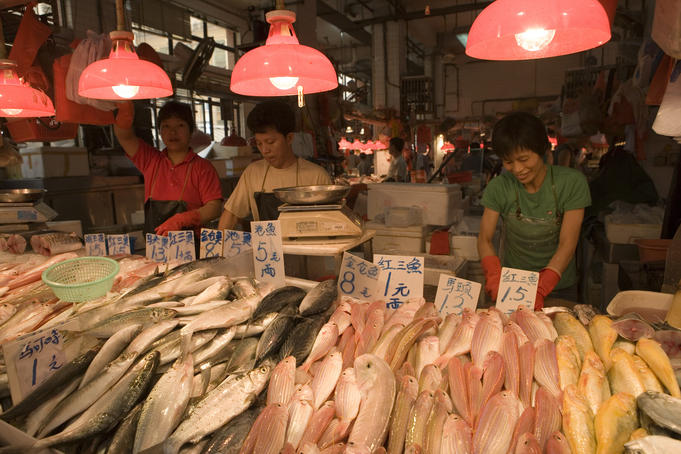 Fresh fish stand, Red Market.