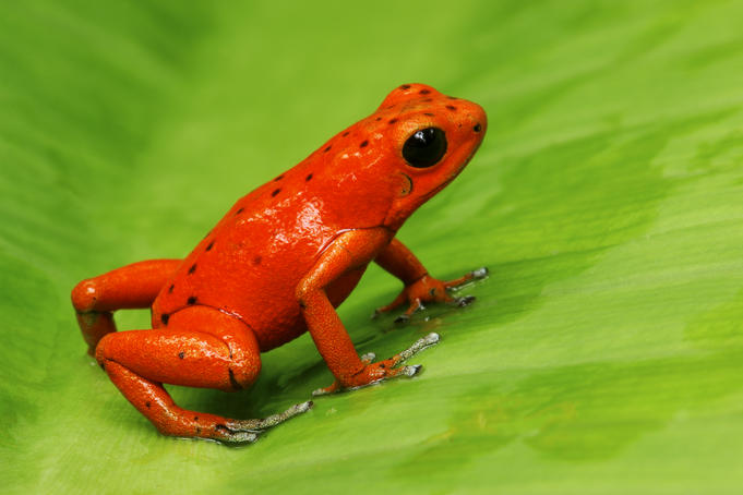 Central America image gallery - Lonely Planet